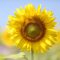 Spring into March with four festivals from around the globe!